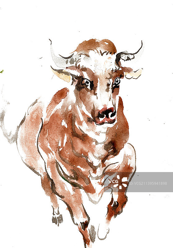 奔跑的黄牛图片素材