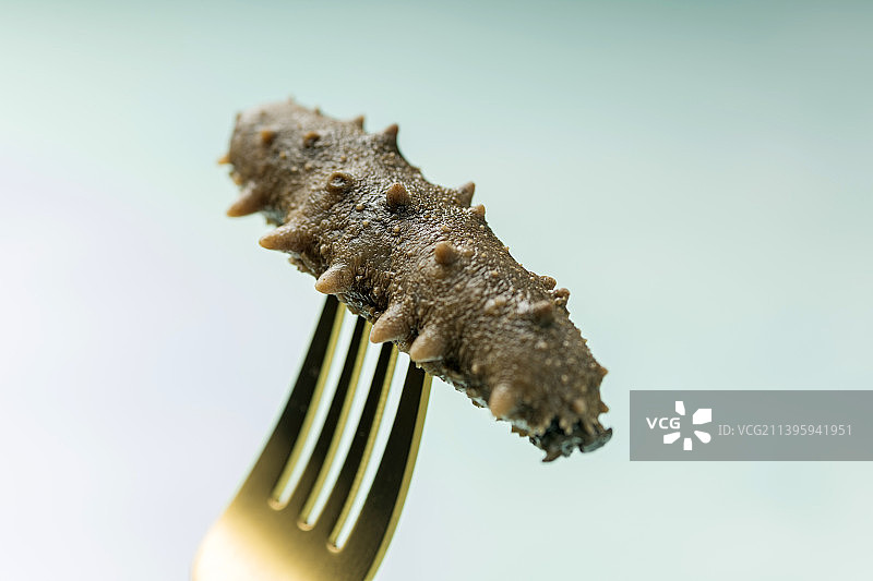 叉子叉海参特写图片素材