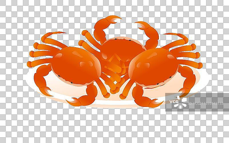 家常菜海鲜螃蟹美食插画图片素材