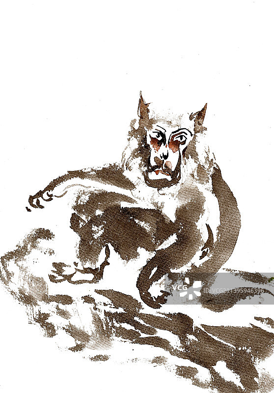 岩石上的猴子图片素材