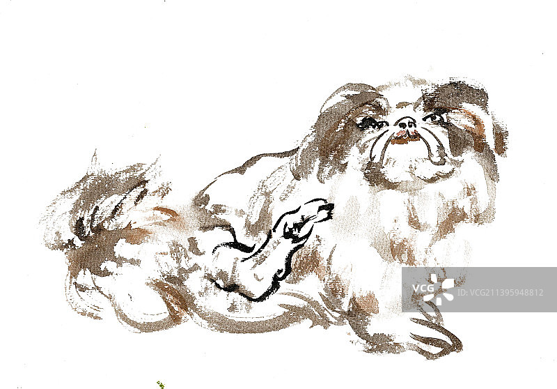 挠痒痒的小狗图片素材