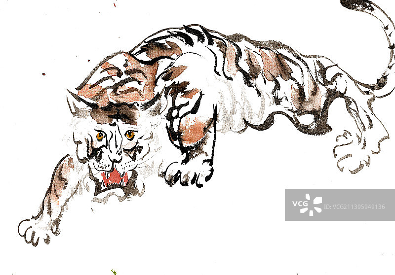 扑食的老虎图片素材