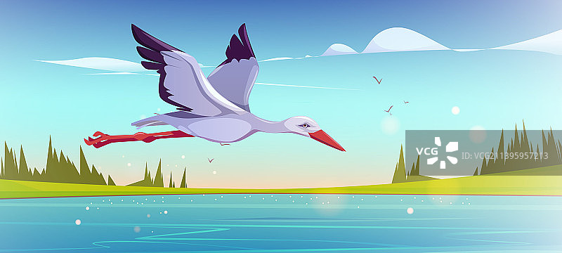 清晨飞越湖面的白鹳图片素材