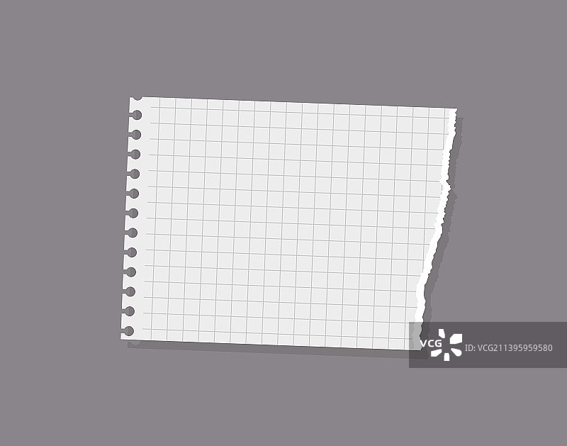 逼真的笔记本撕边方格纸图片素材