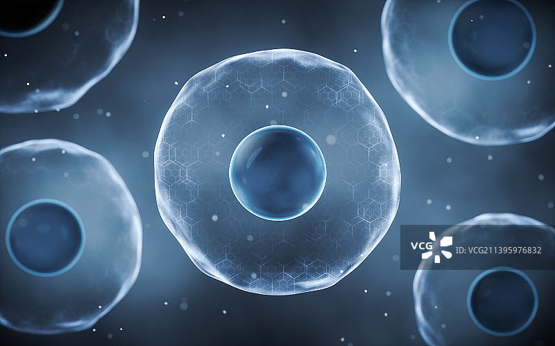 生物科技概念细胞结构3D渲染图片素材