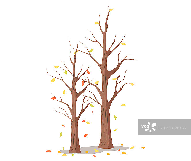 无叶枯树，秋季黄色叶子图片素材