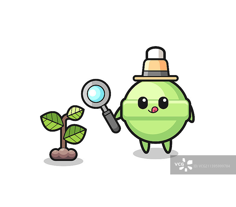 可爱的棒棒糖草药师研究植物图片素材