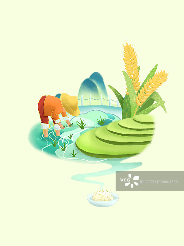 芒种节气种绿色的水稻绿色的梯田黄色的小麦图片素材