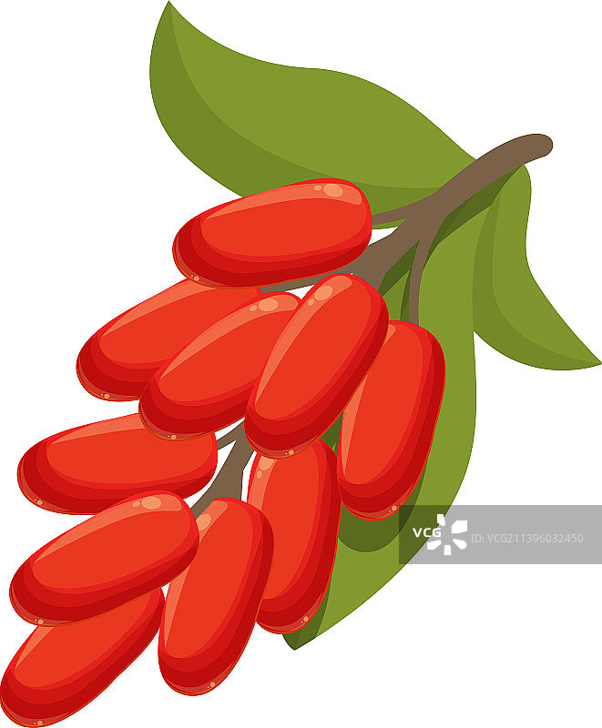 新鲜的红毛莓卡通枸杞水果图标图片素材