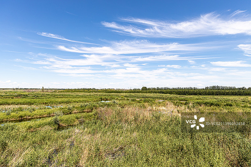 新疆玛纳斯国家湿地公园一角图片素材