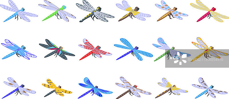 蜻蜓图标等距自然图片素材