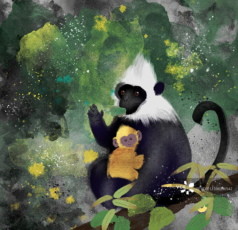 白头叶猴图片素材