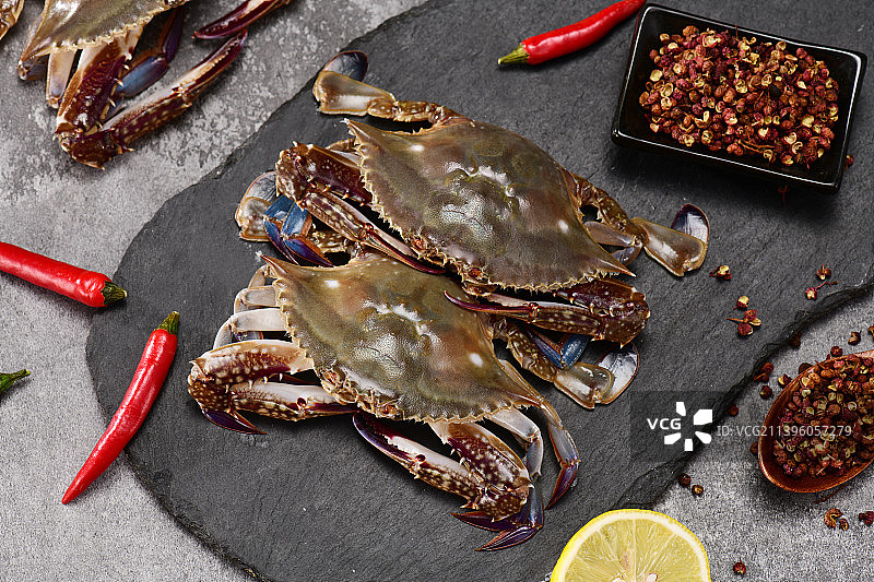 梭子蟹图片素材