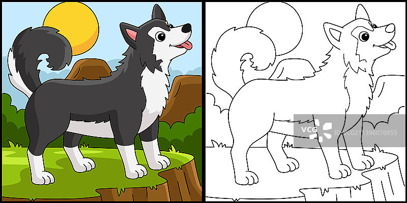 西伯利亚哈士奇犬填色页图片素材