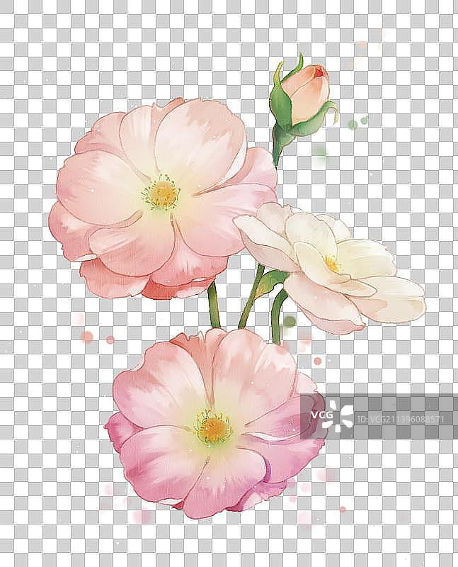 水墨桔梗图片素材