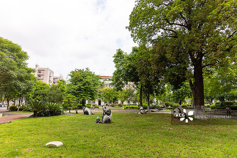 广西大学, 校园, 熊猫雕塑图片素材