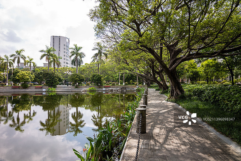 广西大学, 校园, 湖, 池塘图片素材