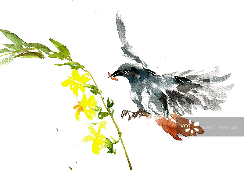 飞翔的小鸟图片素材