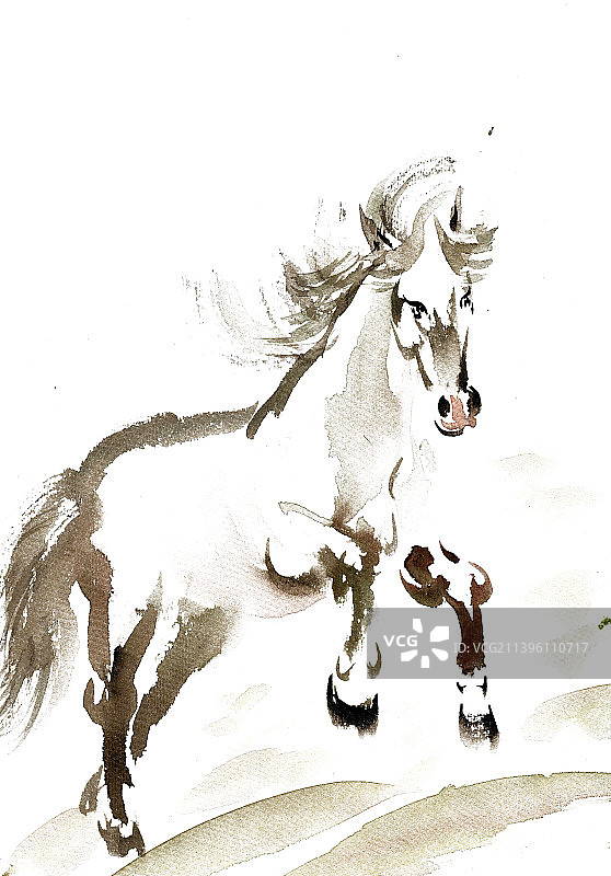 跳跃的骏马图片素材