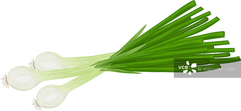 新鲜的葱图片素材