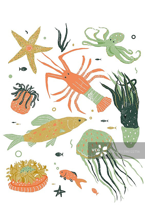 海洋生物图片素材