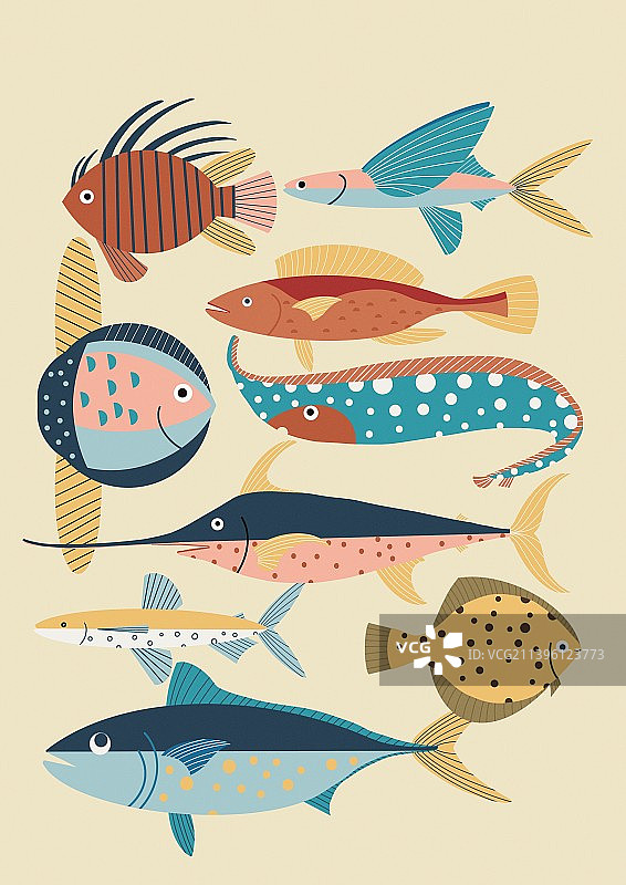 海洋生物图片素材