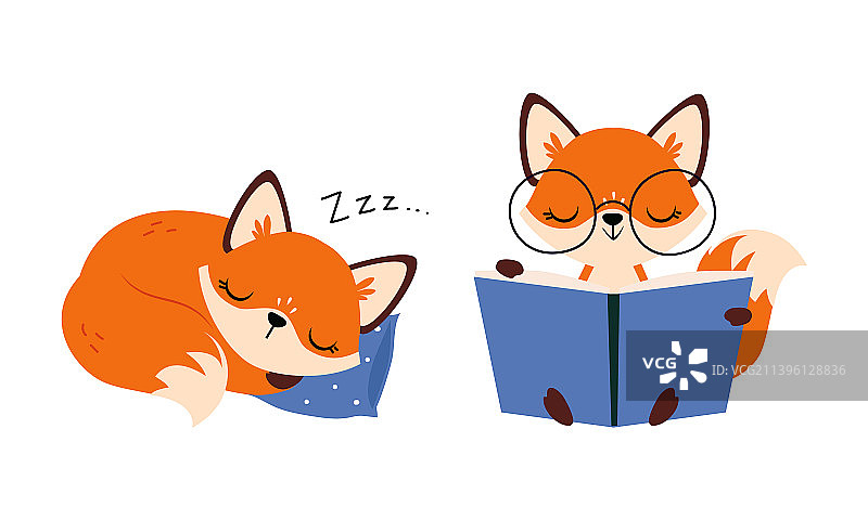 可爱红狐狸枕头上看书图片素材