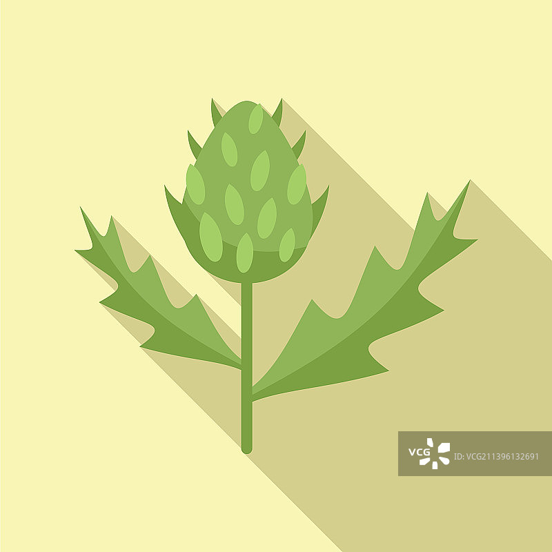 苏格兰蓟图标扁平牛奶植物图片素材