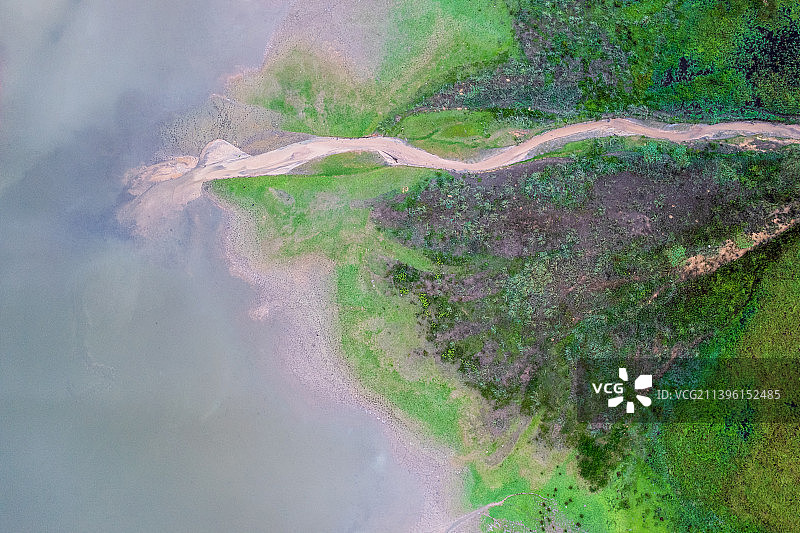 雨后的大岭山森林公园图片素材