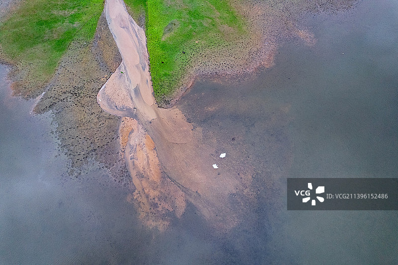 雨后的大岭山森林公园图片素材