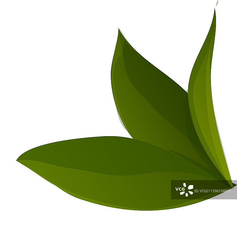 日本抹茶茶叶卡通图标图片素材