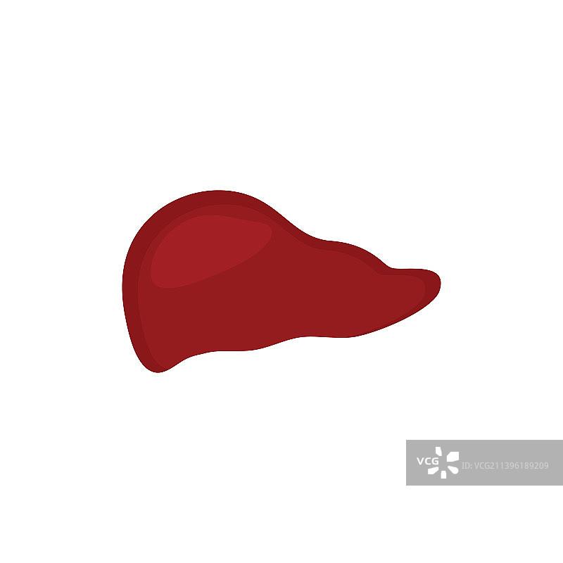 人体肝脏图标Logo（免费）图片素材