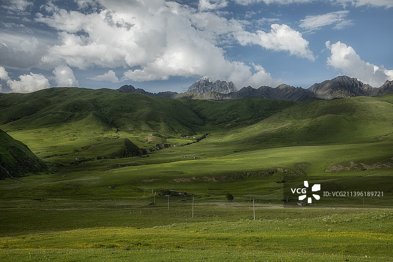 雅拉的春图片素材