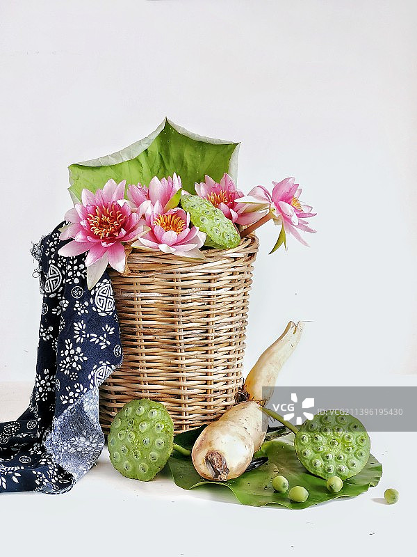 荷花，荷叶，莲蓬，莲藕图片素材