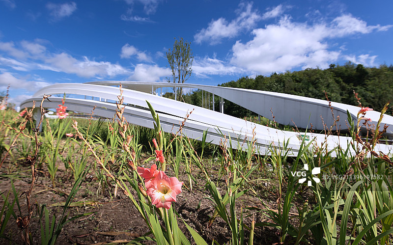 贵州百里杜鹃彝山花谷图片素材