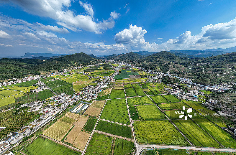 丰收的季节——四川省，宜宾市，兴文县，农村，稻田，开阔，晴天图片素材