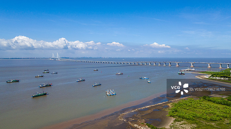 上海长江大桥 崇明长江大桥图片素材