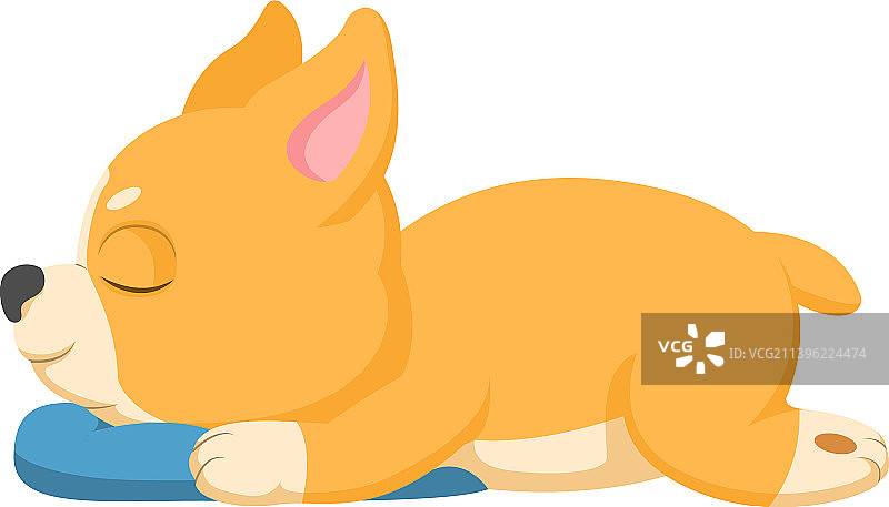 可爱柯基犬抱着枕头睡觉图片素材