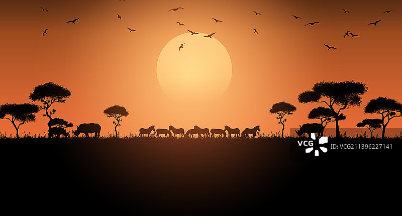 非洲热带草原日落野生动物图片素材