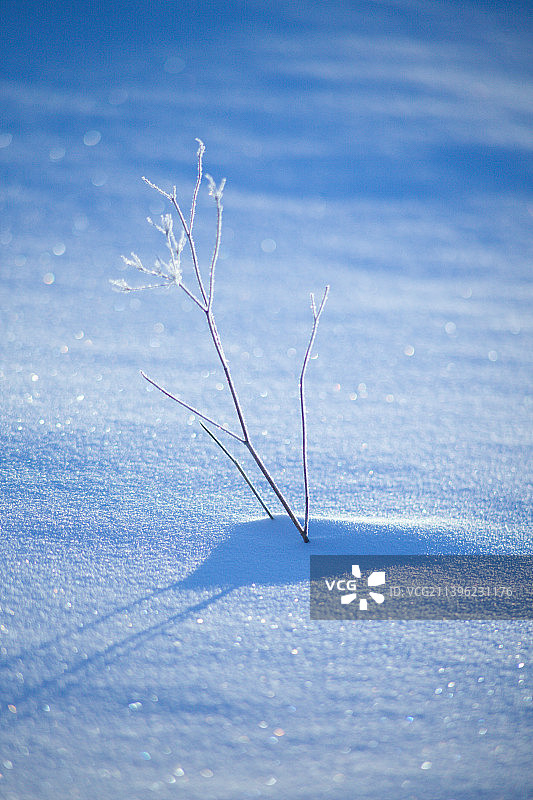 阿尔山冬季雪后景色图片素材