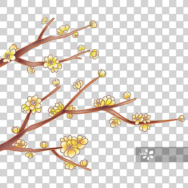 腊八节腊梅国风插画图片素材