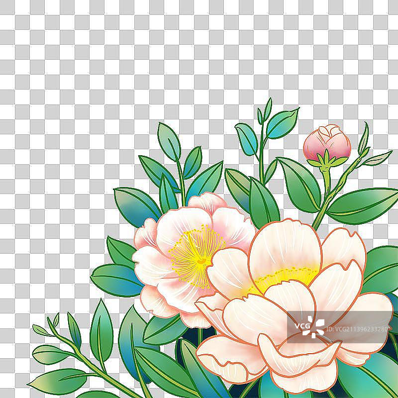 山茶花插画元素图片素材