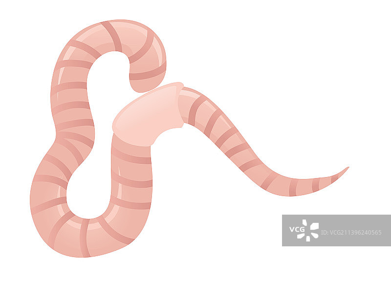 卡通蠕虫扁平设计图片素材