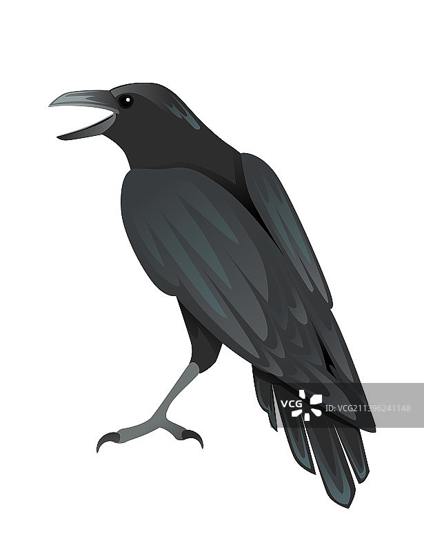 黑乌鸦卡通扁平设计图片素材