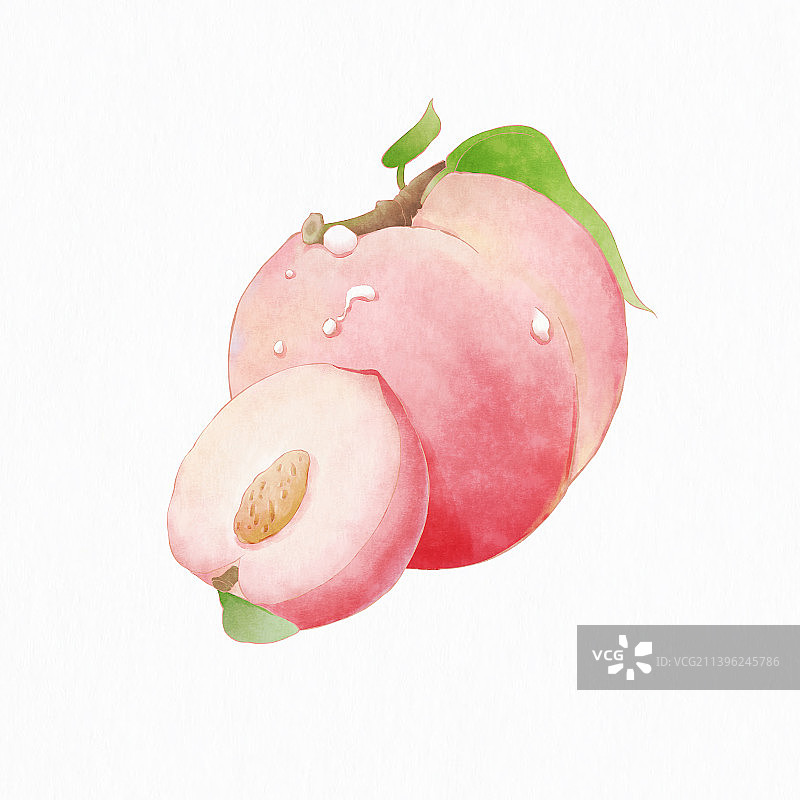 粉嫩水蜜桃水彩手绘插画图片素材