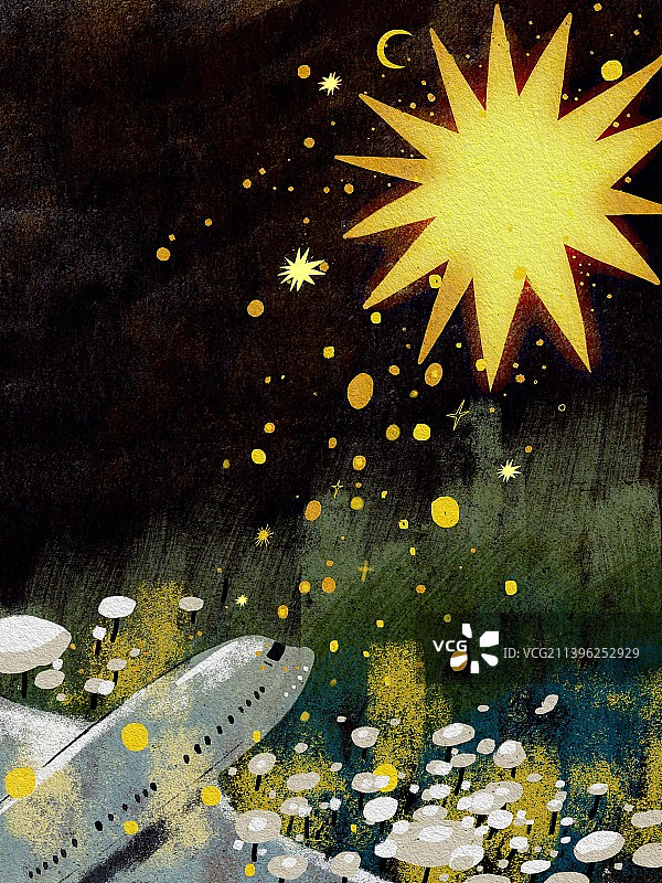星星飞机鲜花草地陨落飞翔夜晚事件纪念缅怀图片素材
