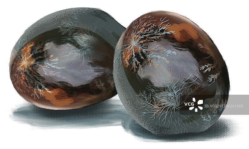 皮蛋传统小吃美食特写插画写实元素晶莹剔透松花蛋中国特产图片素材