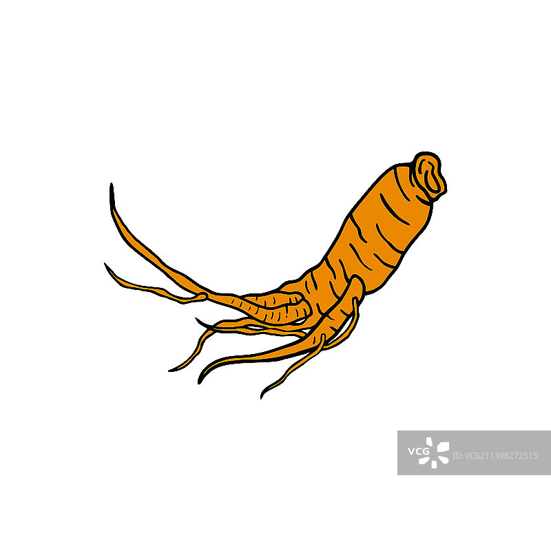 人参根草药标志设计图片素材