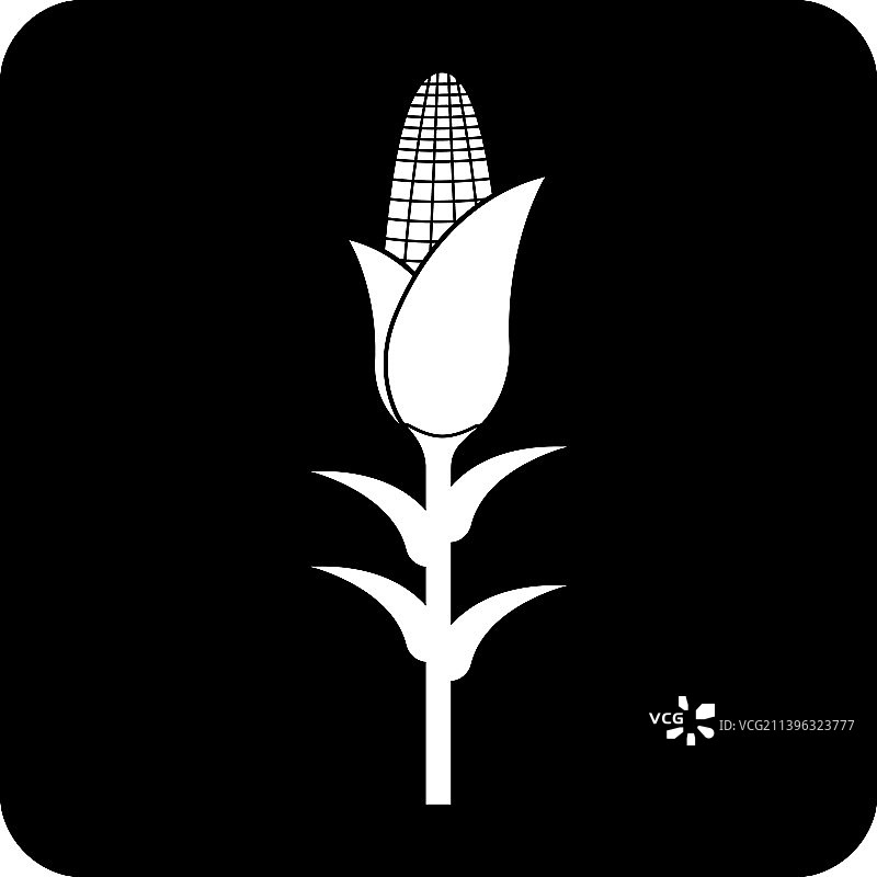 玉米图标图片素材