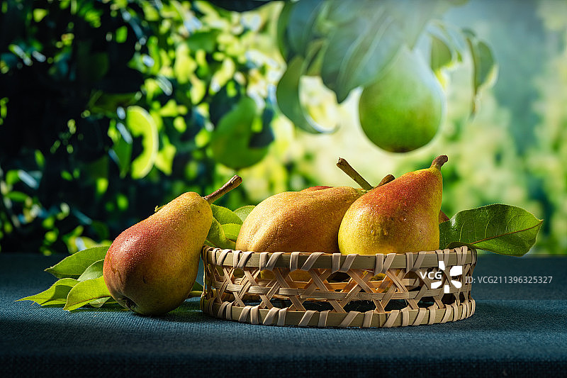 蓝色背景下的新鲜茄梨图片素材